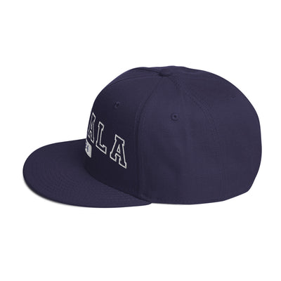 Kamala 2024 Snap back hat